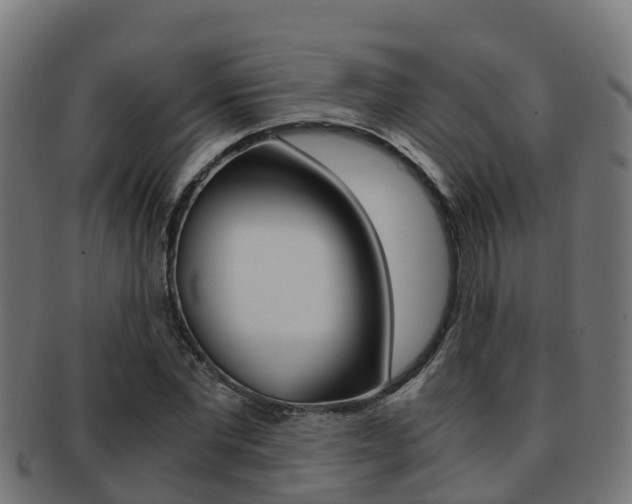 X0000091960877200709061058