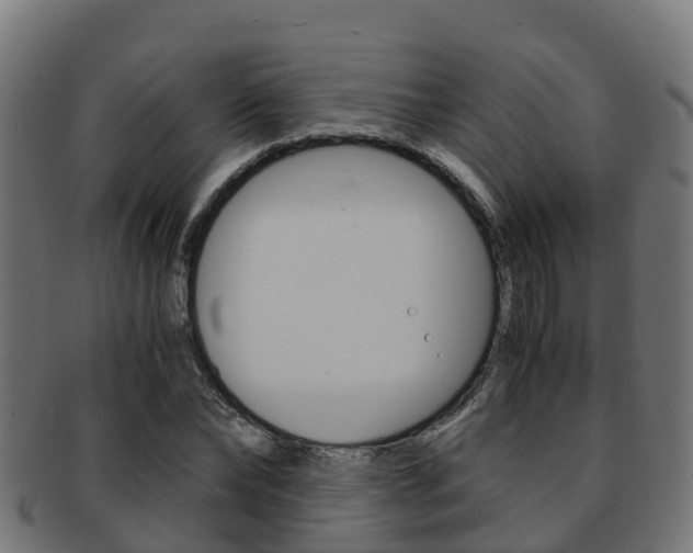 X0000091960878200709061058