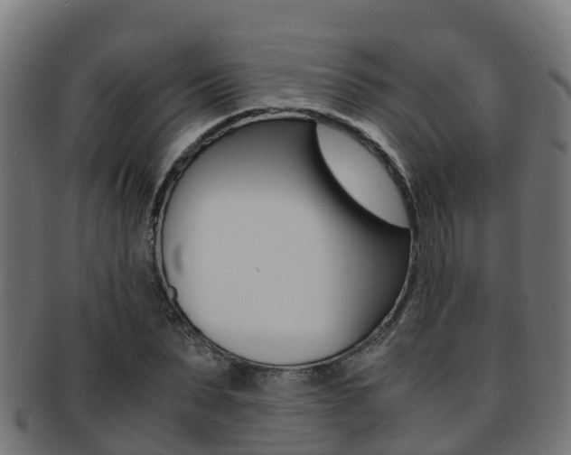 X0000091960879200709061058