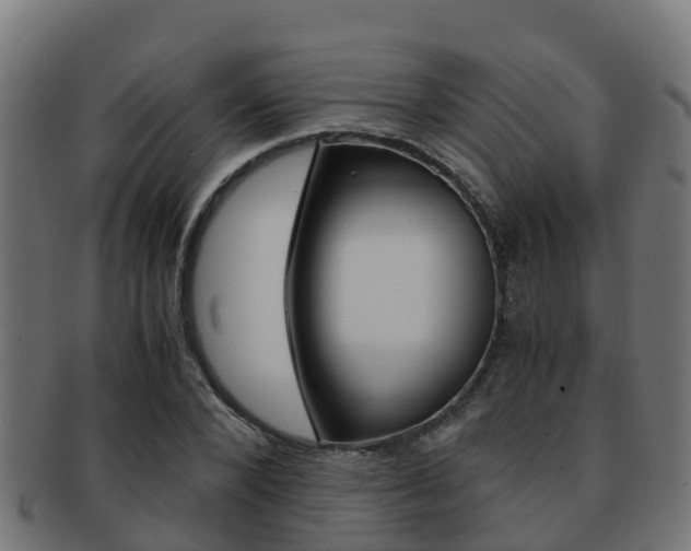 X0000091960880200709061058