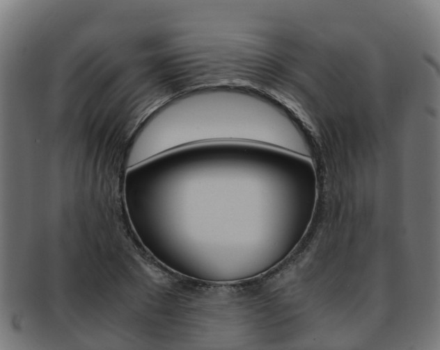 X0000091960881200709061058