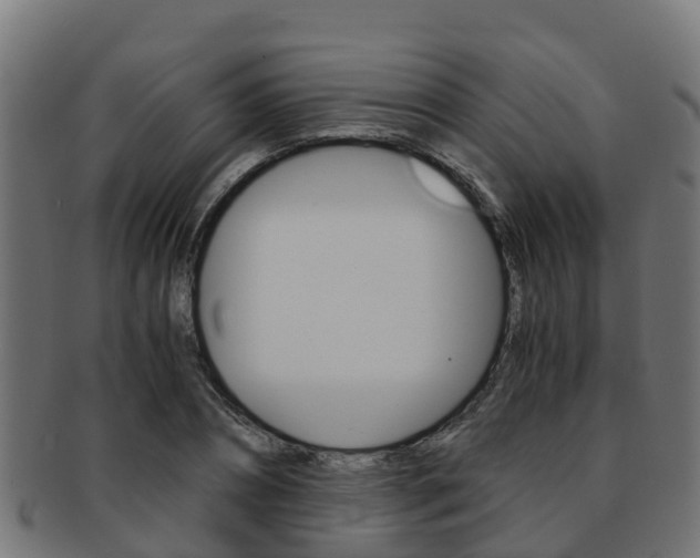 X0000091960882200709061058