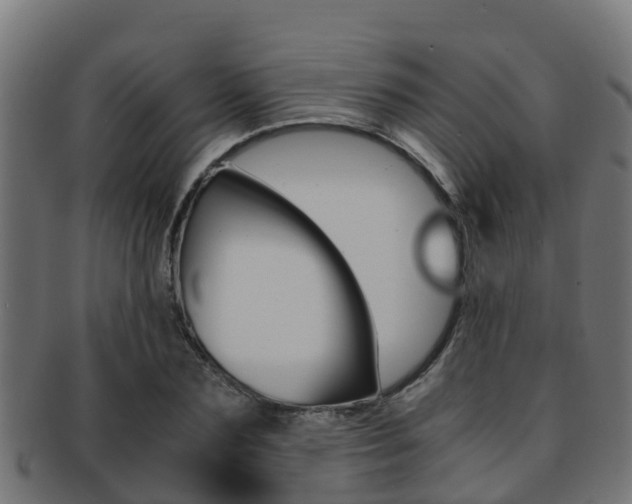 X0000091960883200709061058