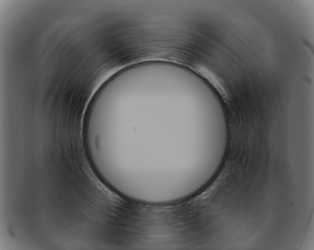 X0000091960884200709061058