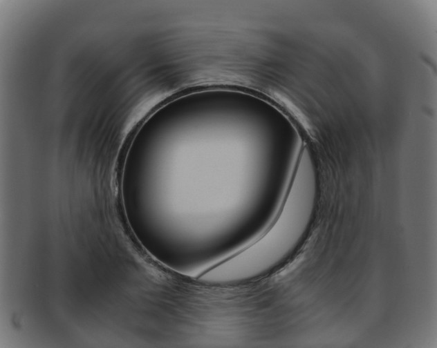 X0000091960885200709061058