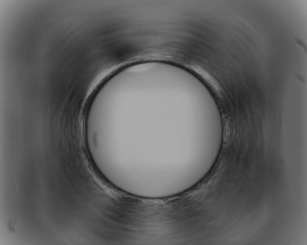X0000091960886200709061058