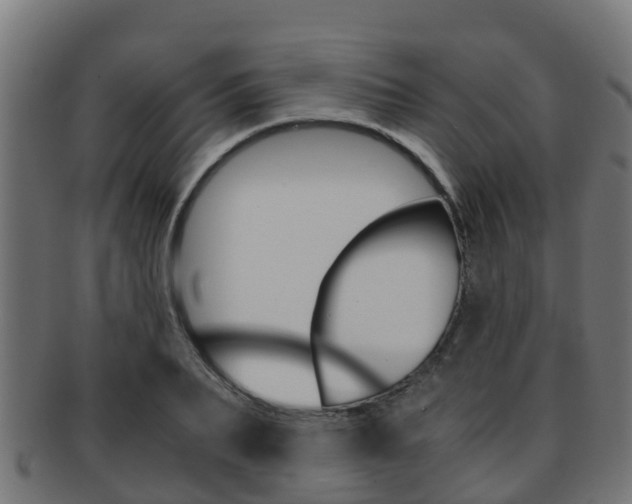 X0000091960887200709061058