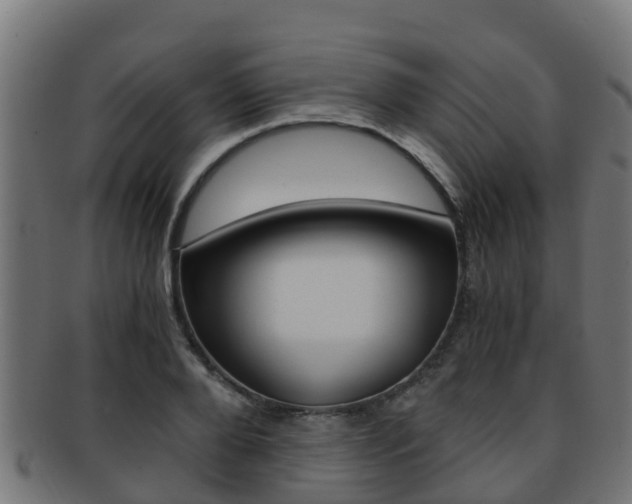 X0000091960888200709061058
