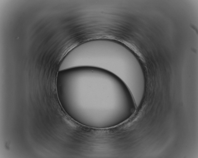X0000091960889200709061058