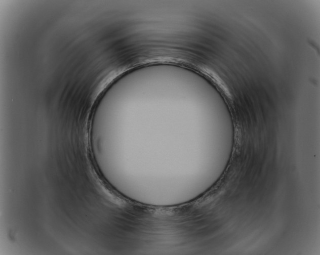 X0000091960890200709061058