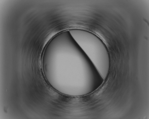 X0000091960891200709061058