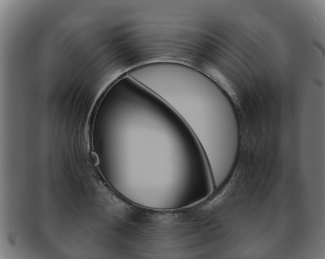 X0000091960892200709061058