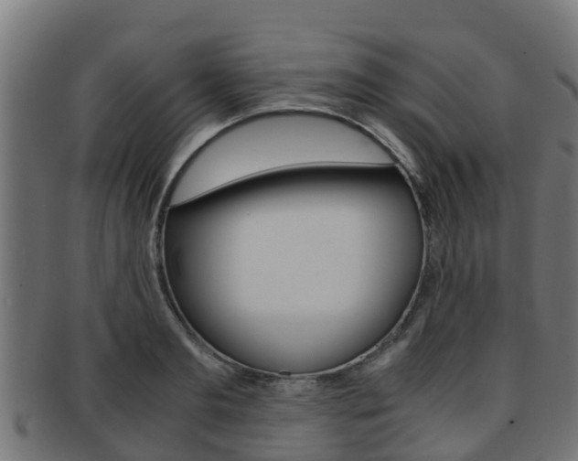 X0000091960893200709061058
