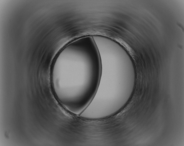X0000091960894200709061058