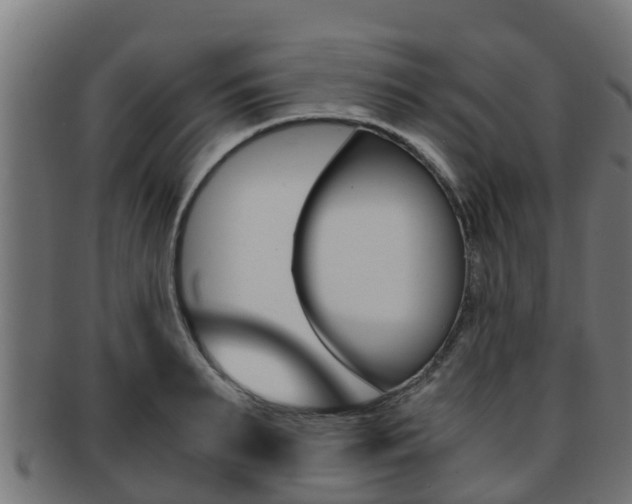 X0000091960895200709061058