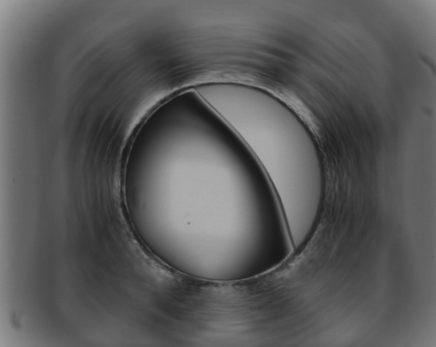 X0000091960896200709061058