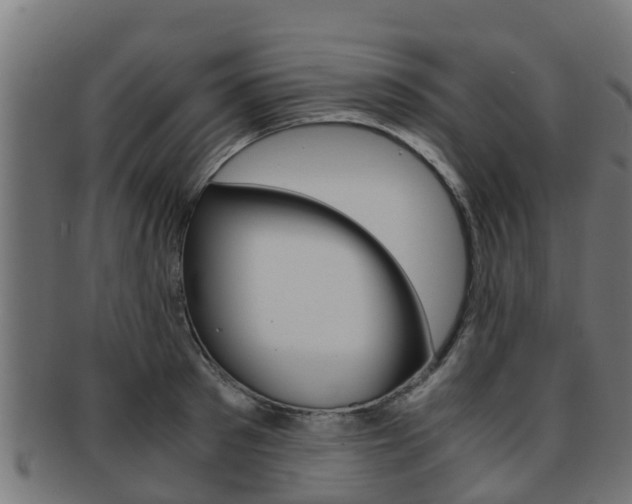 X0000091960897200709061058