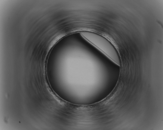 X0000091960898200709061058