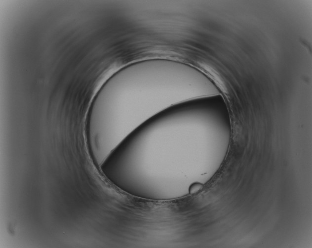 X0000091960899200709061058