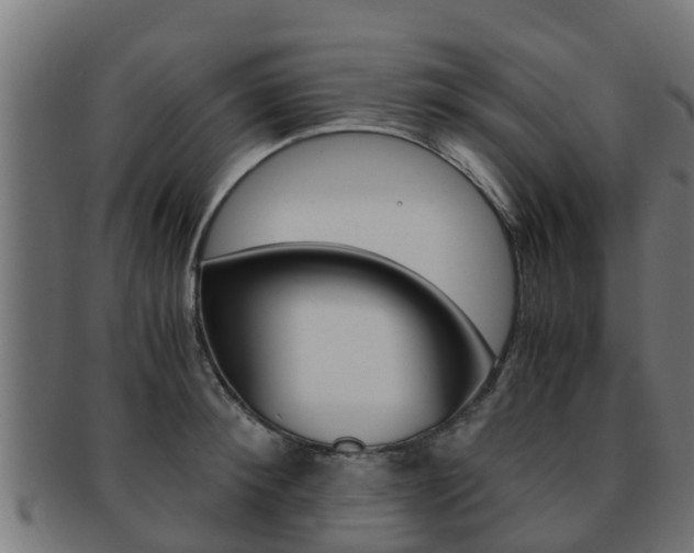 X0000091960900200709061058