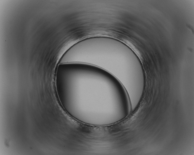 X0000091960901200709061058