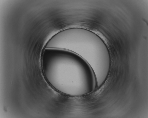X0000091960902200709061058