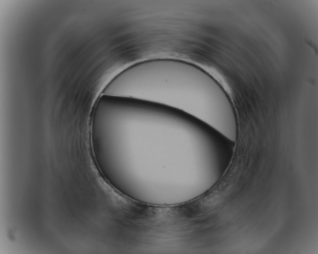 X0000091960903200709061058