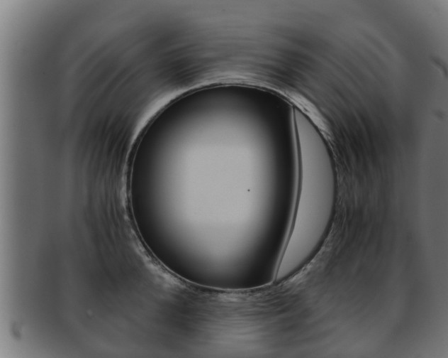 X0000091960904200709061058
