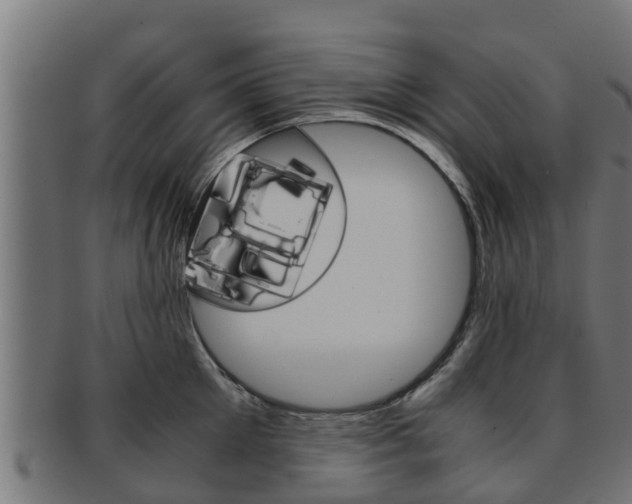 X0000091960905200709061058