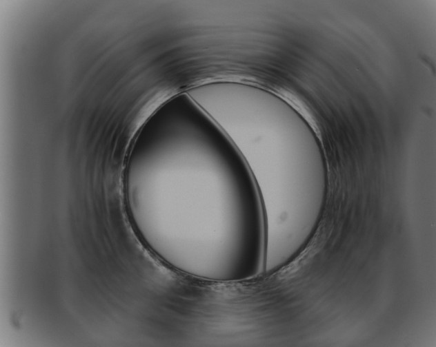 X0000091960906200709061057
