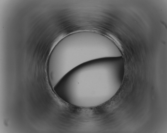 X0000091960907200709061057