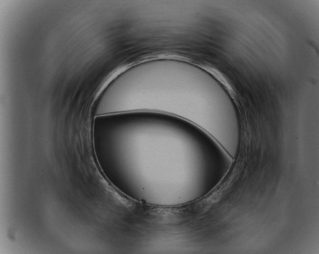 X0000091960910200709061057