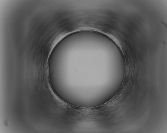 X0000091960911200709061057