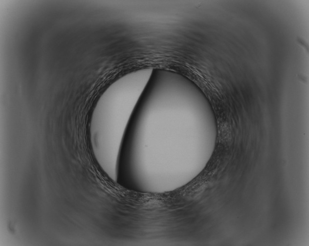 X0000091960913200709061057