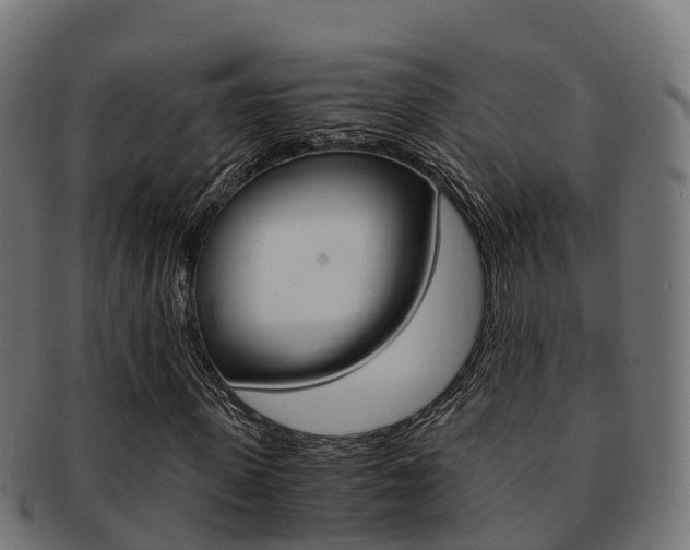 X0000091960915200709061057