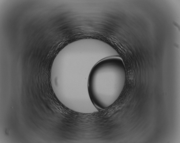 X0000091960916200709061057