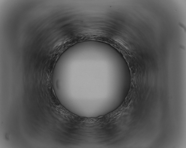 X0000091960917200709061057