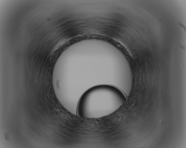 X0000091960919200709061057