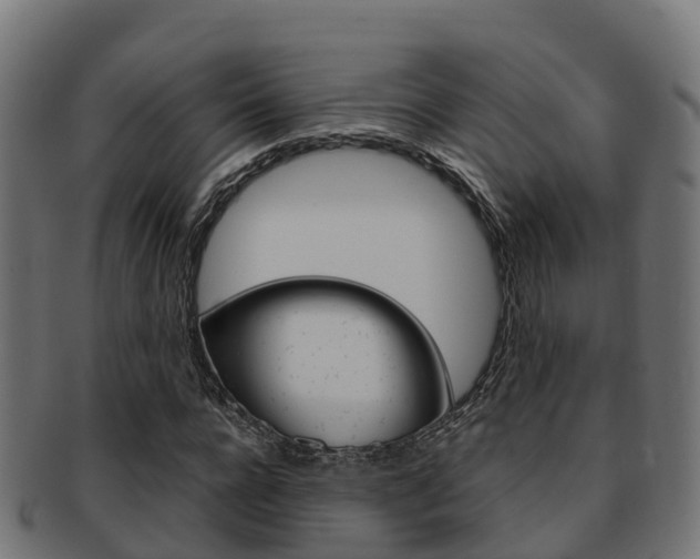 X0000091960920200709061057