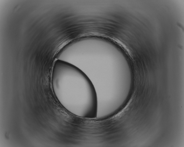 X0000091960921200709061057