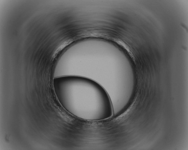 X0000091960922200709061057