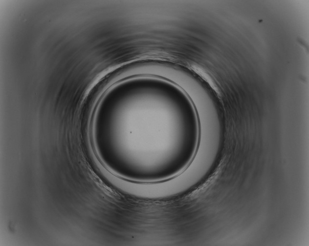 X0000091960923200709061057