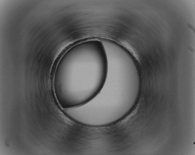 X0000091960924200709061057