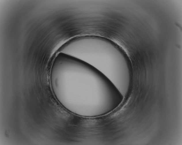 X0000091960925200709061057