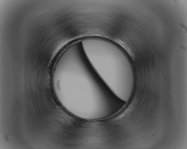 X0000091960926200709061057