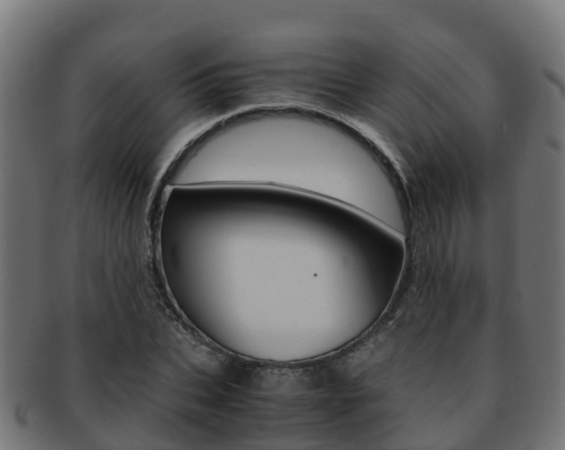 X0000091960927200709061057