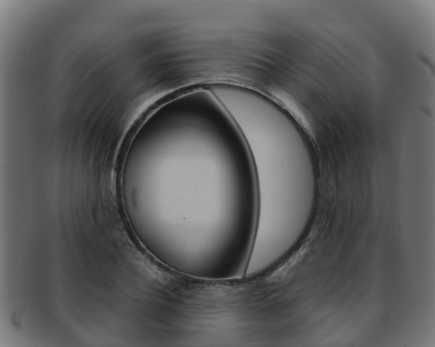 X0000091960932200709061057