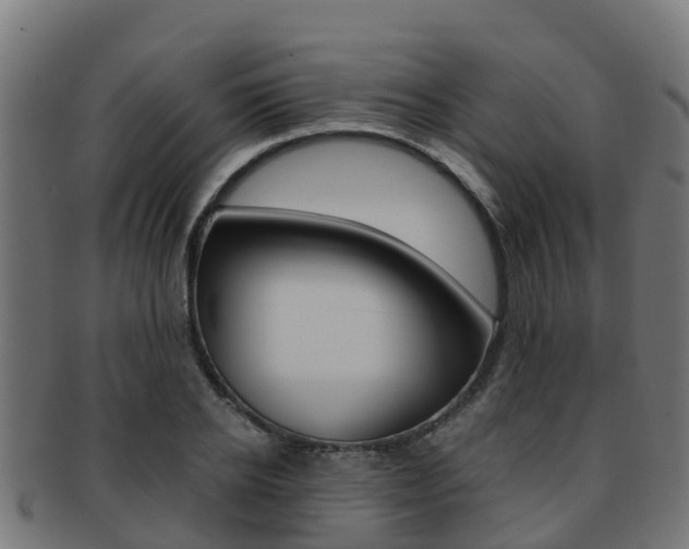 X0000091960934200709061057