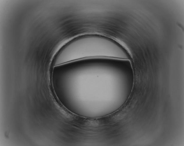 X0000091960935200709061057