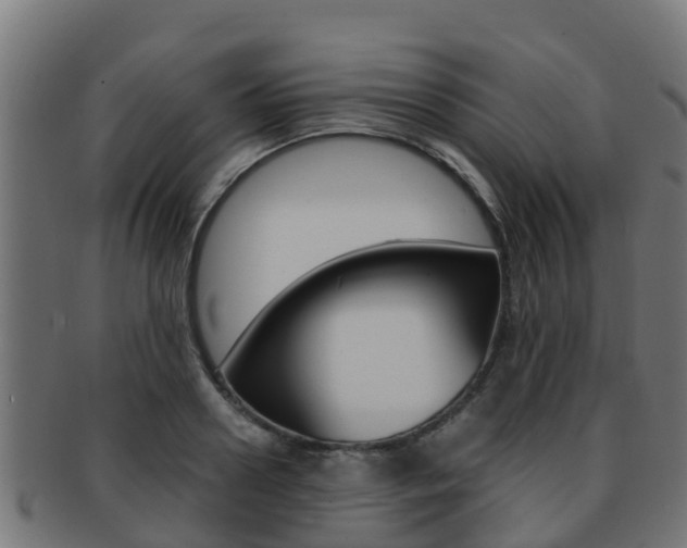 X0000091960938200709061057